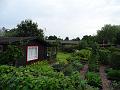 2015-0815-1440_Hoersholm_ Allotment_DK_25.7C